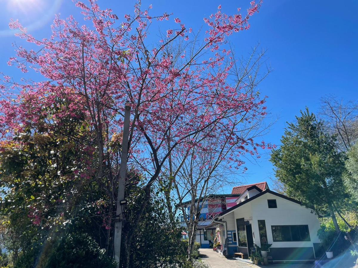 Julie'S Garden, Cingjing - Fon Chin Homestay Renai Dış mekan fotoğraf