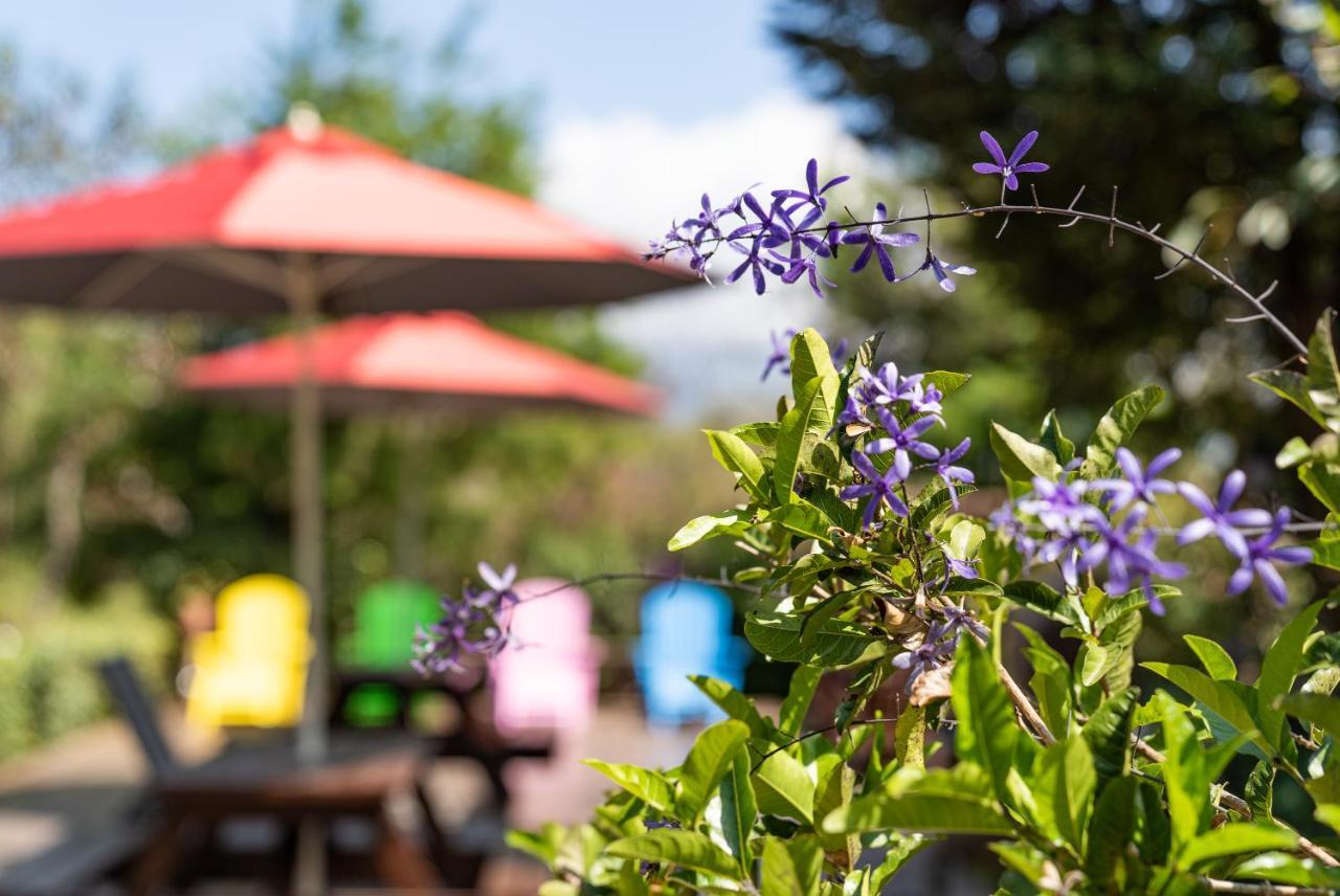 Julie'S Garden, Cingjing - Fon Chin Homestay Renai Dış mekan fotoğraf
